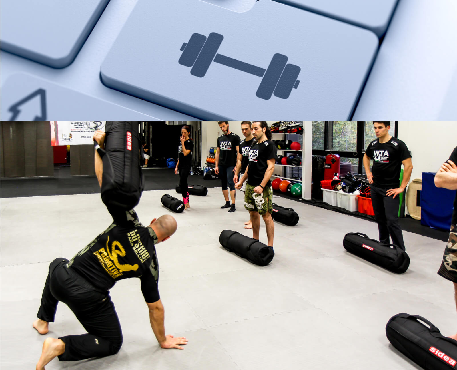 Functional Training Courses