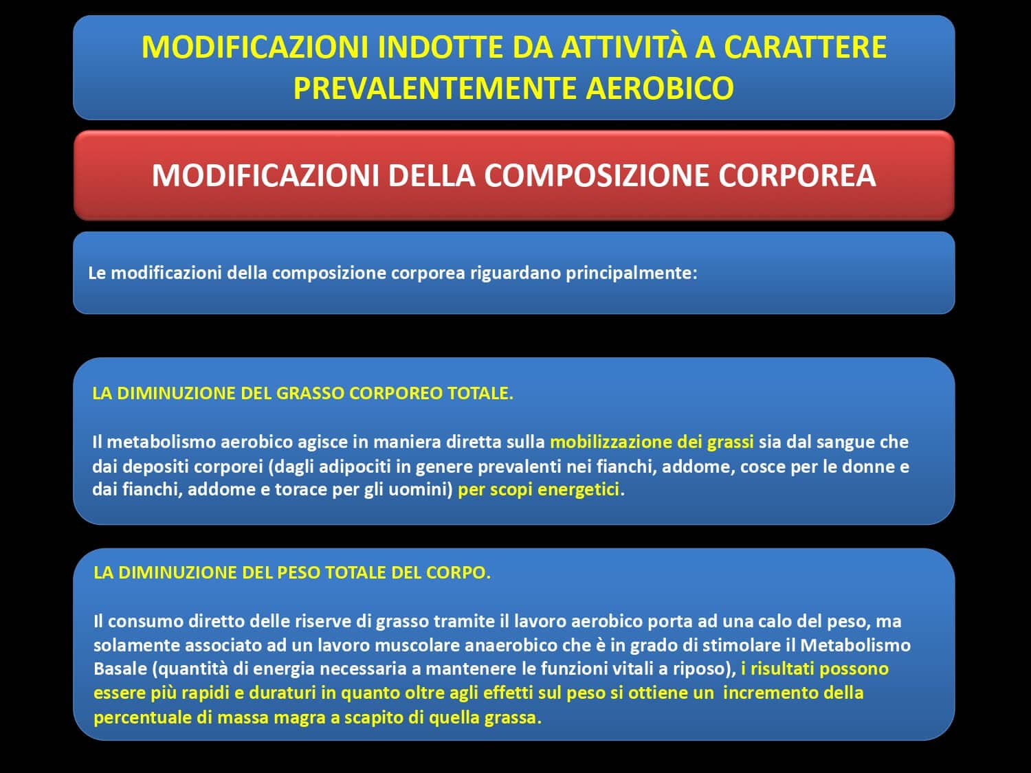 Perche L Attivita Fisica Migliora Lo Stato Di Salute E Benessere Delle Persone E Riduce I Fattori Di Rischio Del Covid Wta Functional Training